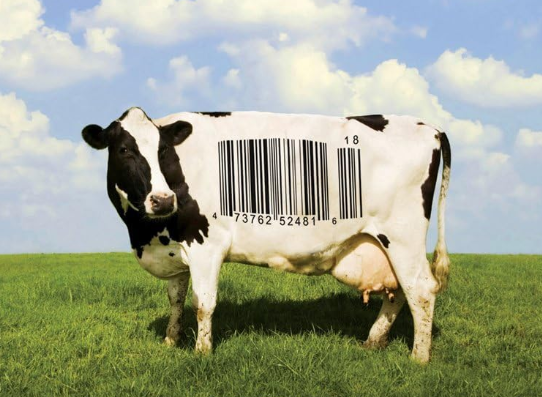 Food, Inc. (2008)