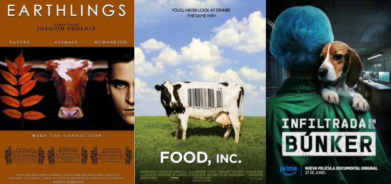 Through the Lens: Confronting Animal Cruelty